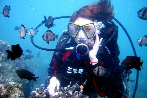 边境之旅